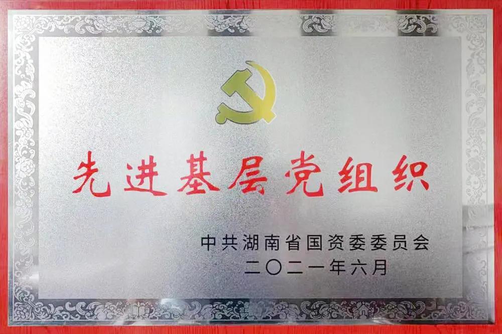 牽引電機黨支部 先進(jìn)基層黨支部.jpg 牽引電機黨支部 先進(jìn)基層黨支部.jpg